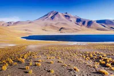 Piedras Rojas et lagunes altiplaniques au départ de San Pedro