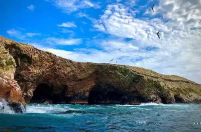 Ballestas Islands tour from Ica: Sea lions, penguins & Candelabra