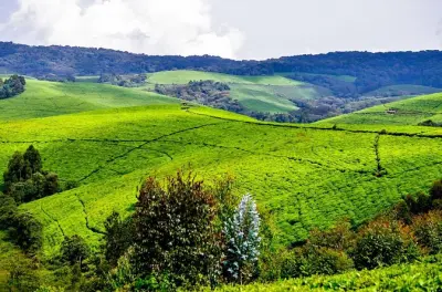 3-day Bujumbura tour: Royal drums and Lake Tanganyika