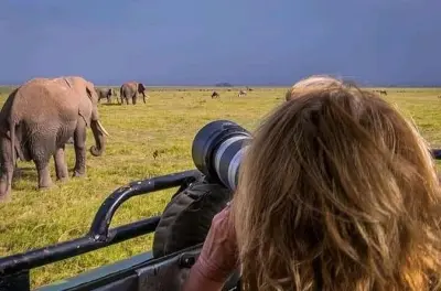 Victoriafälle nach Chobe Park Tagestour: Safari & Bootsfahrt