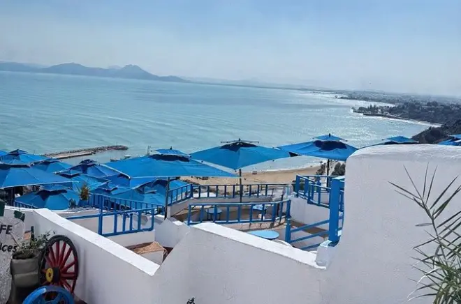 Medina de Túnez, Cartago y Sidi Bou Said con guía