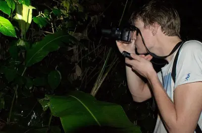 Passeggiata notturna a Tortuguero: Avvista serpenti e rane al buio
