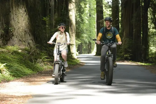 Bosques de secuoyas en e-bike por Avenue of the Giants, 4 horas