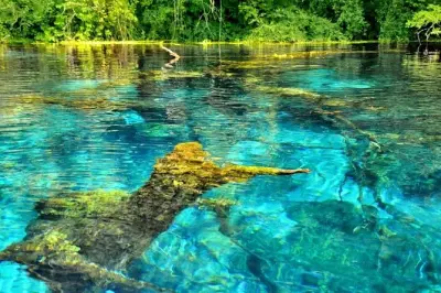 Blue Eye & Schloss Lekuresi ab Saranda: 50 Meter tiefe Quelle