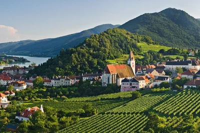 Excursión privada de día completo desde viena al valle de wachau. visita la abadía de melk, navega por el danubio, explora dürnstein y krems, y termina en un heuriger local.