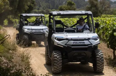 Conducción de buggy eléctrico en Cassis por viñedos y bosque