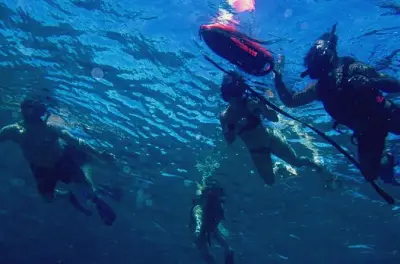 Snorkeling a Vieques: Guida locale e fauna marina