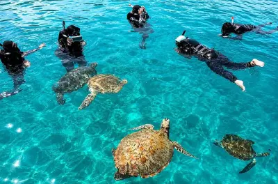 Mergulho com snorkel na ilha Redang: 7 pontos de recife