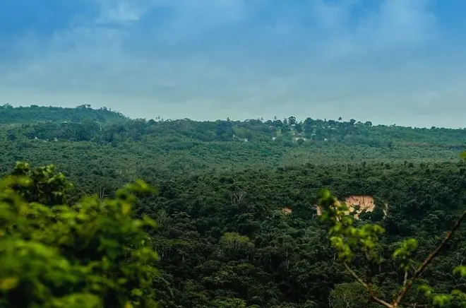 Pugu Hills : Randonnée et observation d'oiseaux depuis Dar es Salaam