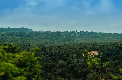 Pugu Hills : Randonnée et observation d'oiseaux depuis Dar es Salaam