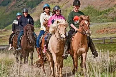 Reiten im isländischen Land bei Vellir Farm