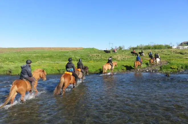 Reiten bei Reykjavík: Geothermische Pfade & Lavafelder