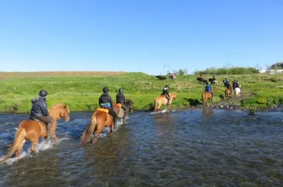 Reiten bei Reykjavík: Geothermische Pfade & Lavafelder