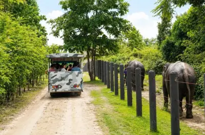 Hua Hin Wildlife Rescue: Elefantenrefugium & Großkatzenzentrum
