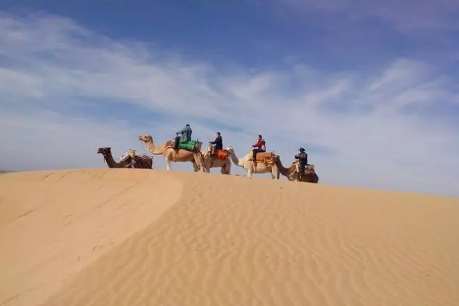 3-stündiger Kamelritt in Essaouira: Strand und Dünen