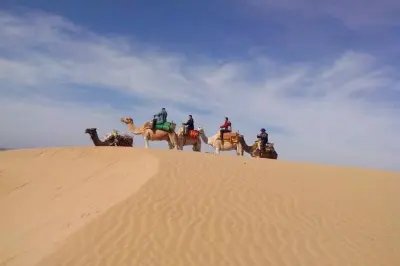 3-stündiger Kamelritt in Essaouira: Strand und Dünen