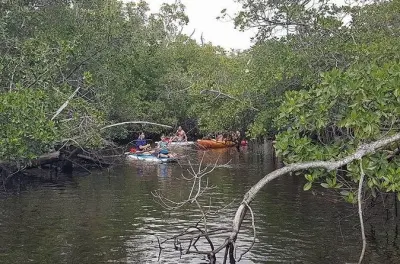 Kayak à Fort Lauderdale : Trajet aller simple jusqu'à Bonnet House