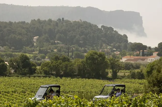 Cassis: Passeio de buggy elétrico pelos vinhedos e Route des Crêtes