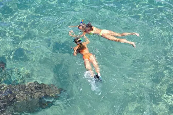 Snorkeling à Key West : Dauphins, récif et Conch Train