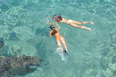 Snorkeling à Key West : Dauphins, récif et Conch Train