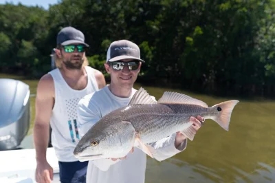 Angeln in tampa bay: 4-stündige tour mit lokalem guide, delfine beobachten, große fische fangen und klares wasser genießen. ausrüstung und angelschein inklusive.