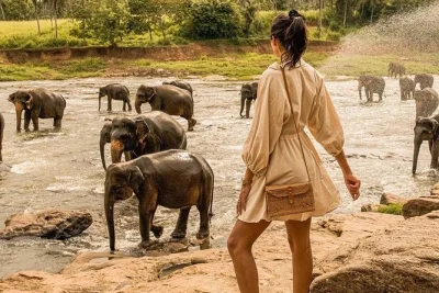 Private 8-day sri lanka tour with english-speaking driver. explore sigiriya, kandy, tea country, wildlife safaris & galle fort in comfort. book now.