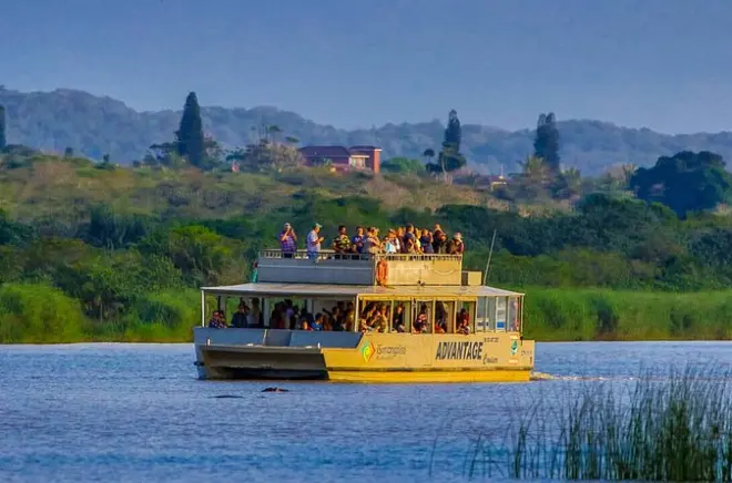 Avvistamento ippopotami e coccodrilli nello St Lucia Estuary