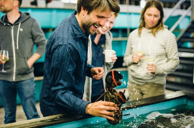 Belfast Bay: Kleingruppen-Kreuzfahrt mit Lobster Rolls