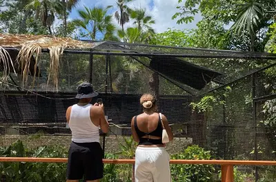 Ziplining in Placencia with Belize Zoo & Jungle ATV