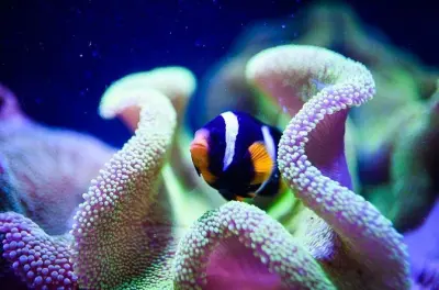 Hurghada Grand Aquarium tickets: 24 galleries, touch tank