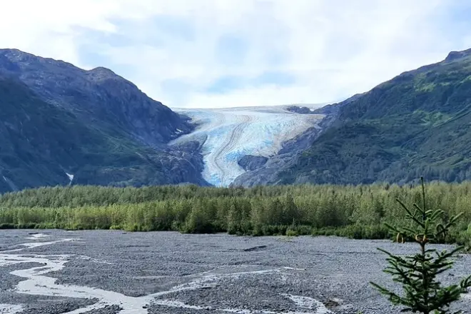 Exit-Gletscher Wanderung: Geführter Weg zum Gletscherblick
