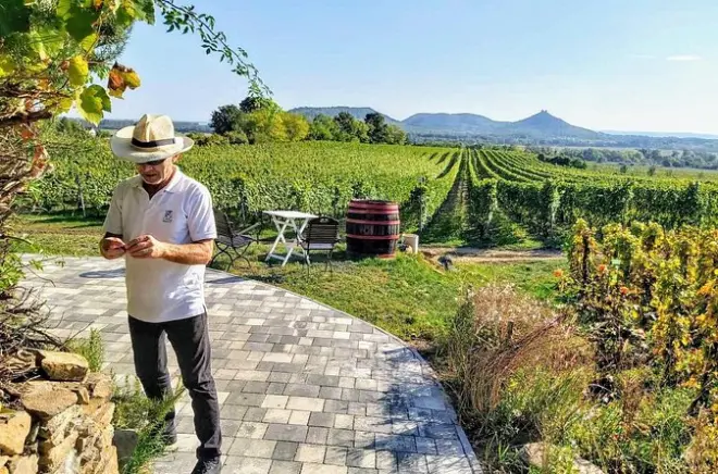 Lake Balaton wine tasting tour from Budapest: Private, 8 hours