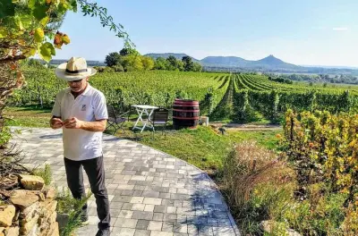 Degustação privada de vinhos no lago Balaton saindo de Budapeste