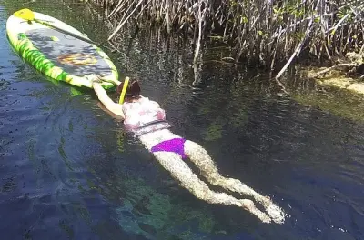 Tour en paddleboard por Casa Cenote en Tulum con guía