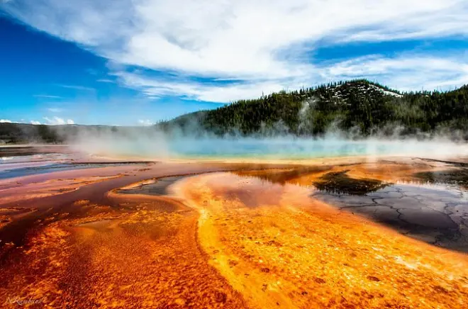 Yellowstone Lower Loop privato: Old Faithful e Grand Canyon