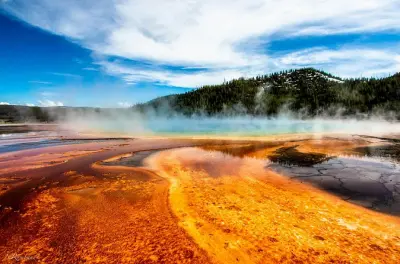 Yellowstone Lower Loop privato: Old Faithful e Grand Canyon