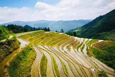 Private Tagestour zu den Longji Reisterrassen ab Yangshuo