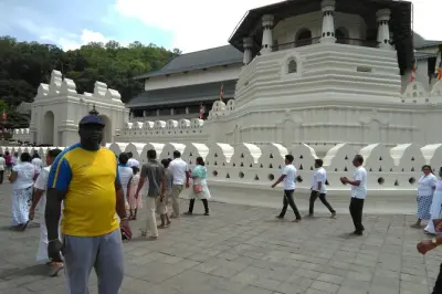 Kandy e Pinnawala: Tour de um dia com chá, templos e jardins