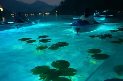 Kajakfahren am Bleder See: LED-Transparente Kajaks mit lokalem Guide