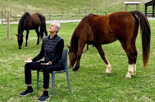 Meditation mit Pferden in Asheville: Ruhe mit der Herde