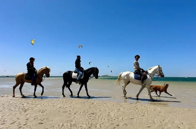 Dakhla coast horseback riding: Guided beach & desert trails