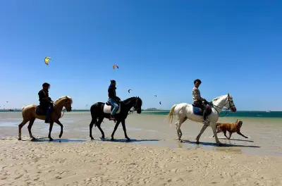 Dakhla coast horseback riding: Guided beach & desert trails