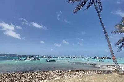 Johnny Cay VIP: Snorkeling, spiagge e mangrovie da San Andrés