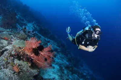 Snorkeling in Semporna: 3 dives, certified divers only