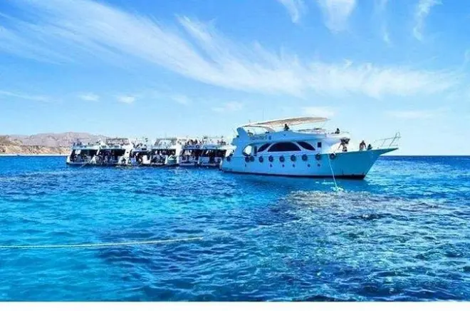 Snorkeling a Sharm El Sheikh: Ras Mohammed e White Island