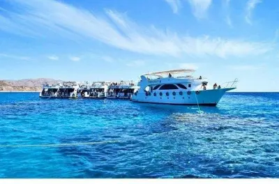 Snorkeling à Sharm El Sheikh : Ras Mohammed et White Island