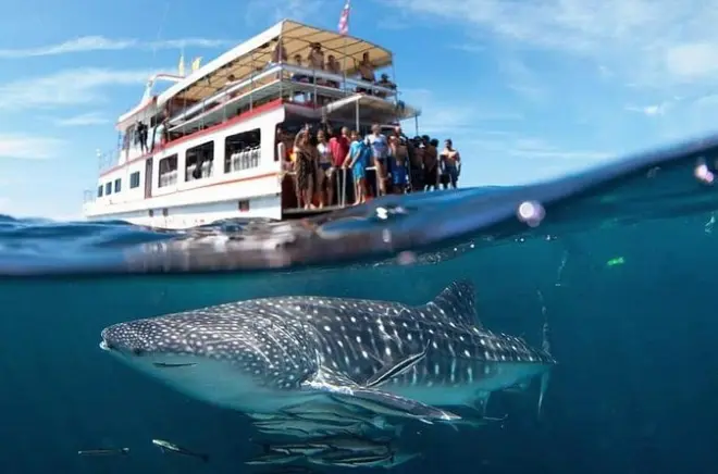 Immersioni a Ko Lanta: Sub certificati, 2 siti e pranzo incluso