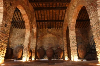 Discover alentejo’s talha wine on a guided tour of a restored winery-museum. taste authentic clay amphora wine and learn ancient winemaking secrets.