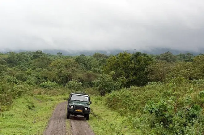 Safari Tanzanie 7 jours : Big Five dans le Serengeti et Ngorongoro