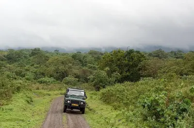 Safari Tanzanie 7 jours : Big Five dans le Serengeti et Ngorongoro
